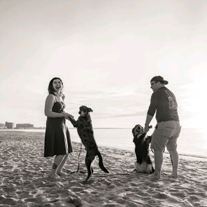 Gallery Photo 14