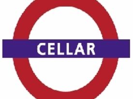 Cellar - Cover Band - Homewood, IL - Hero Gallery 1