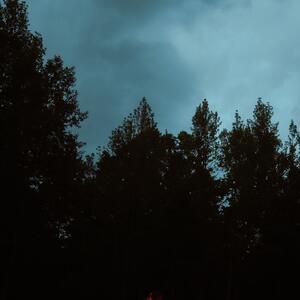 Gallery Photo 7