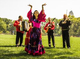 Marina's Dance - Flamenco Dancer - Charlotte, NC - Hero Gallery 3