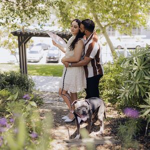 Gallery Photo 9