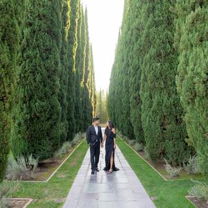 Gallery Photo 8