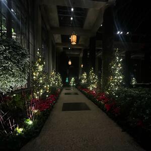 Gallery Photo 17