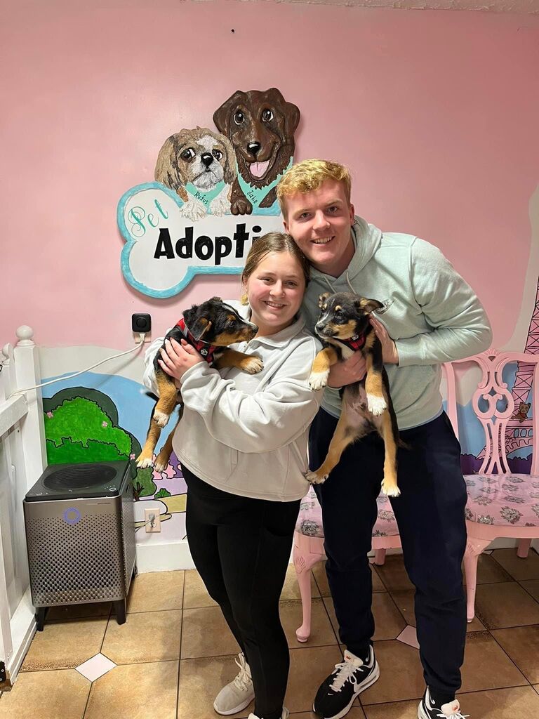 Started our little family with Burrow and Chase