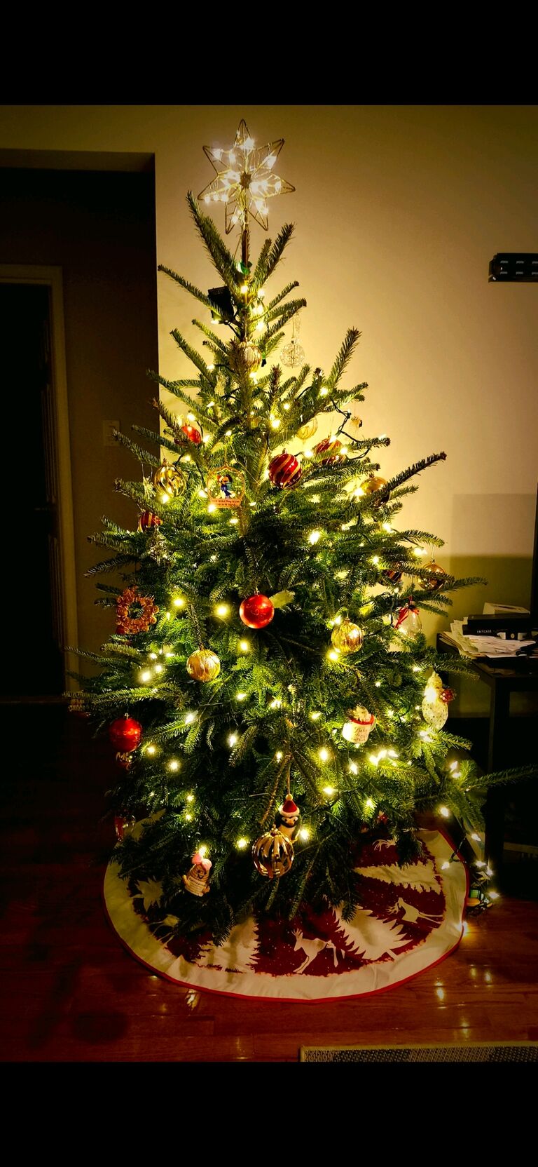 Our first Christmas living together, and our first (real) Christmas tree
