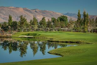 are dogs allowed at fernley golf course