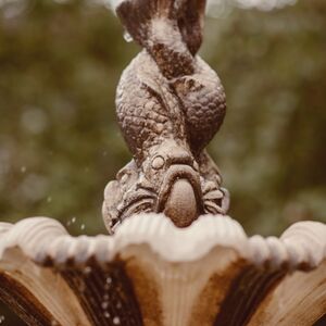 Gallery Photo 392