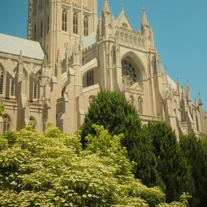 Gallery Photo 26