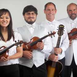 The Allegretto Ensemble, profile image