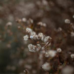 Gallery Photo 14
