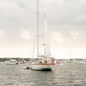 Gallery Photo 66