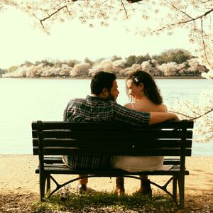 Gallery Photo 9