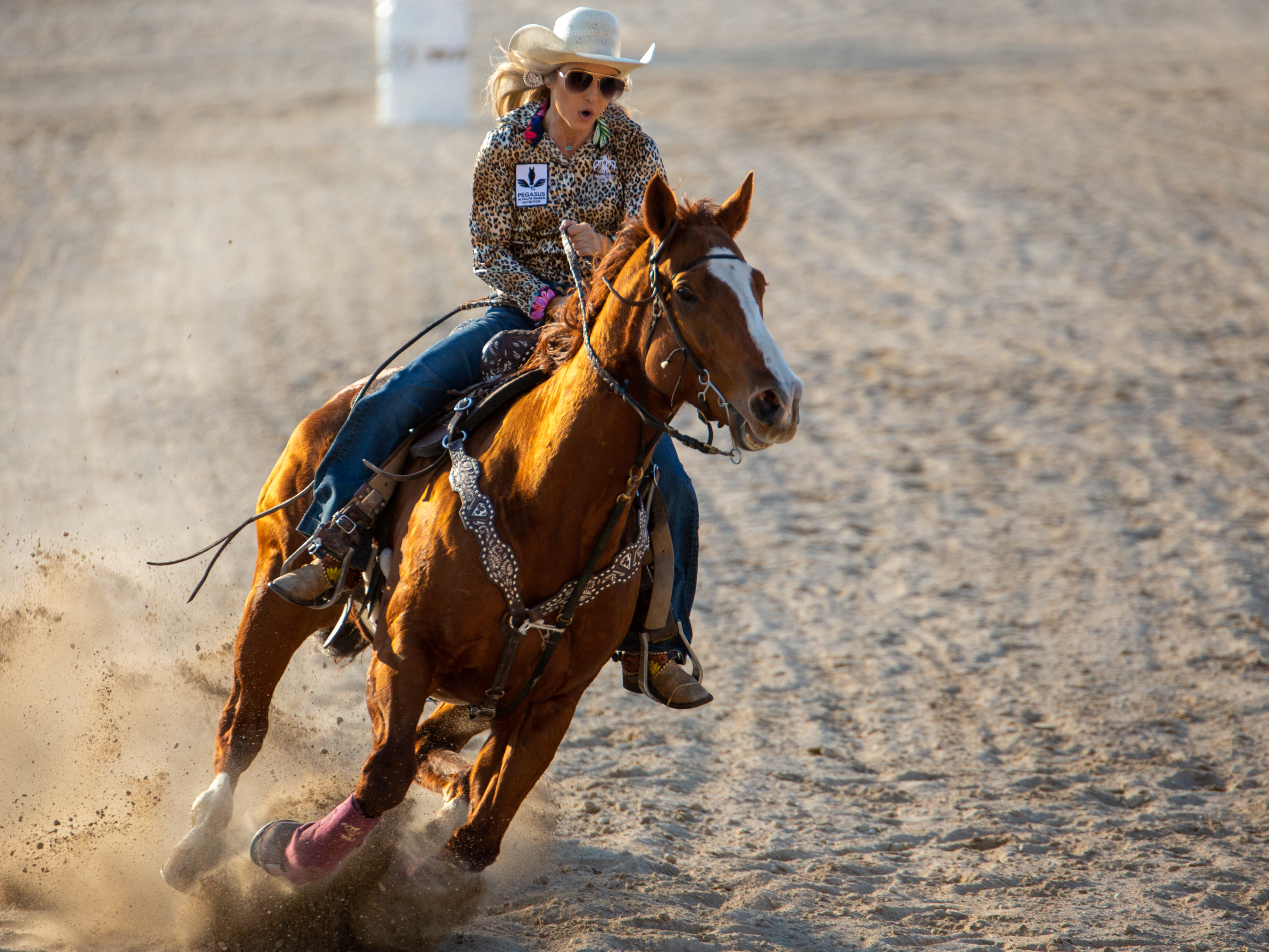 cowgirl riding horse at rodeo