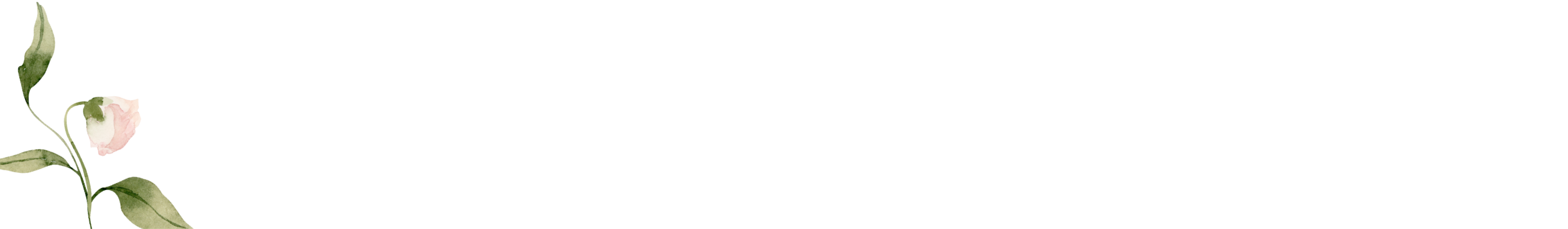 Bottom Theme Image