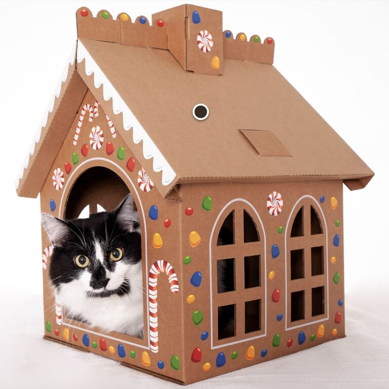 Everybody Dance Meow Catnip Toy - Home