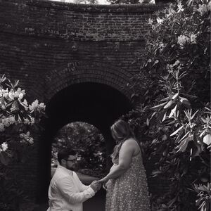 Gallery Photo 13