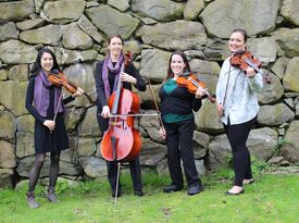 Blackstone Valley String Quartet - String Quartet - North Grafton, MA - Hero Gallery 2