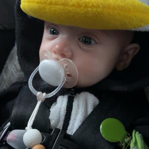 Gallery Photo 20
