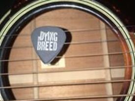The Dying Breed Band - Americana Band - Naperville, IL - Hero Gallery 2