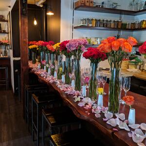 Gallery Photo 11