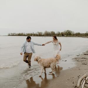 Gallery Photo 42