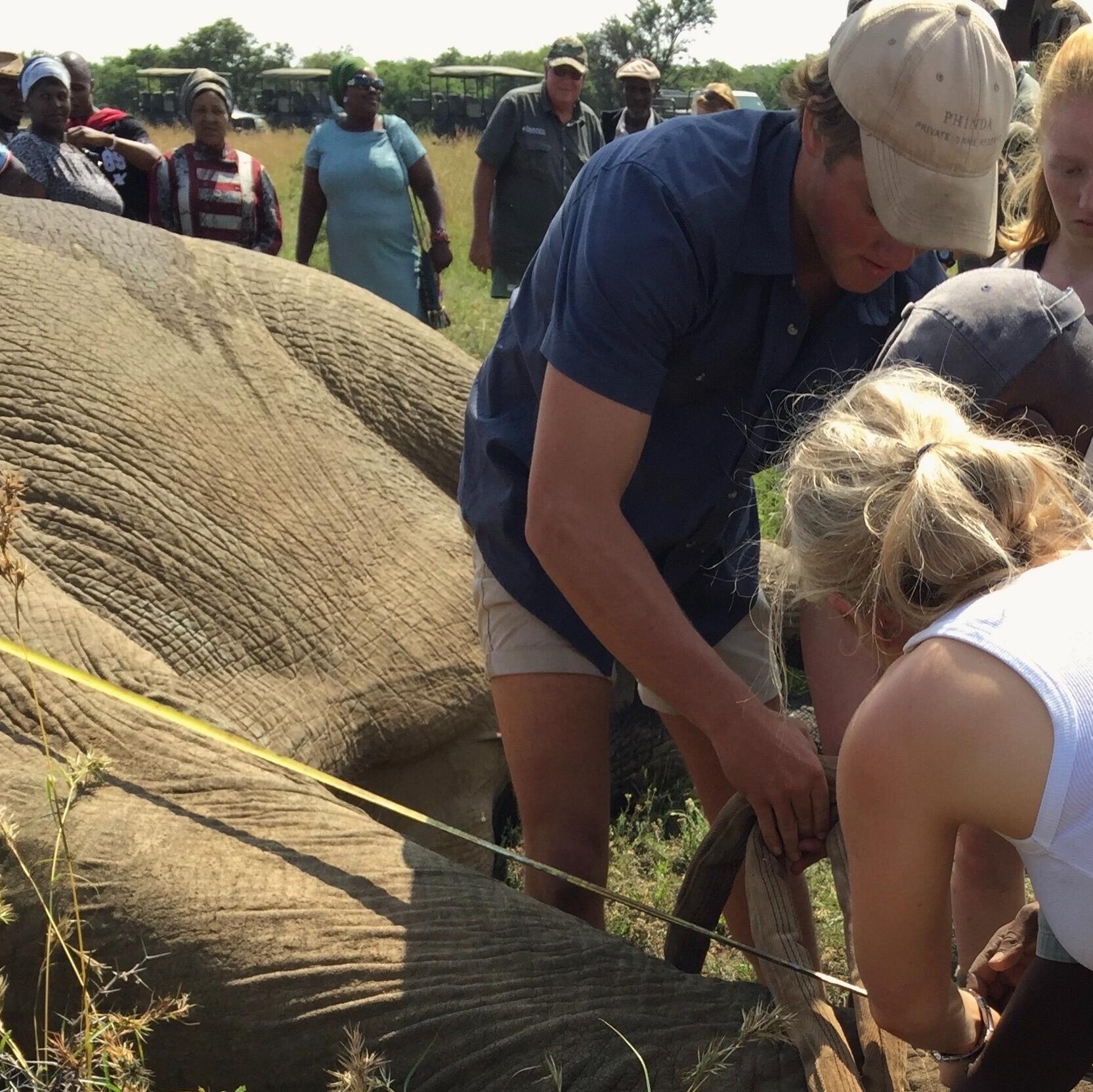 James and Jemma first met in 2017 at Nambiti Private Game Reserve. That year, James was taking a gap year to participate in wildlife conservation efforts across Africa. It was during his very first elephant relocation project that he was introduced to Jemma. Shortly after the relocation, their paths crossed again—and what began as a chance meeting soon blossomed into a close and meaningful friendship.