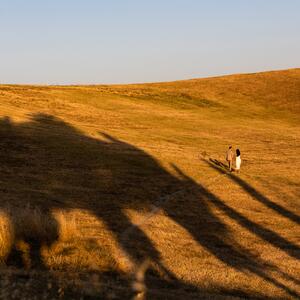 Gallery Photo 30