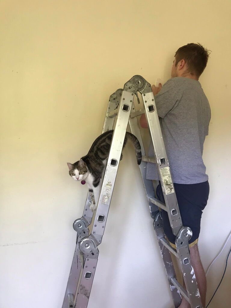 Renovations begin, with Margaret Mary providing invaluable assistance.