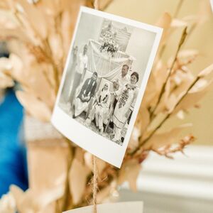 Gallery Photo 39