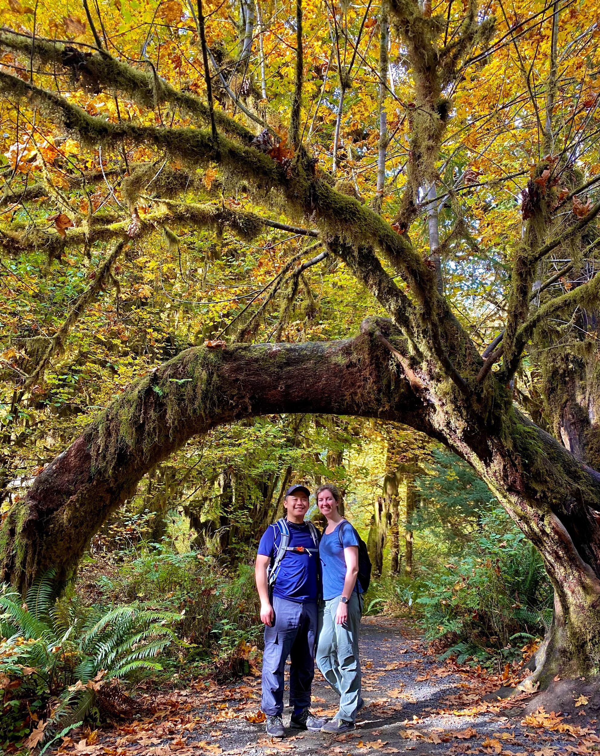 Hoh Rain Forest