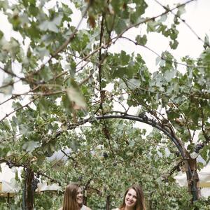 Gallery Photo 26