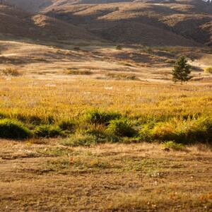 Gallery Photo 61