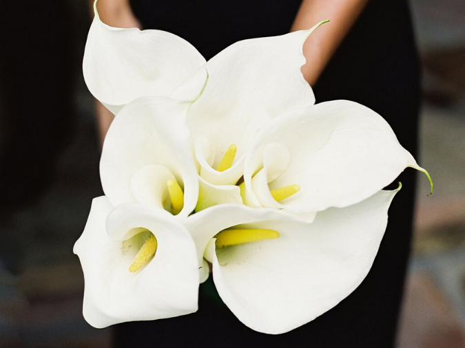 white calla lily bouquet