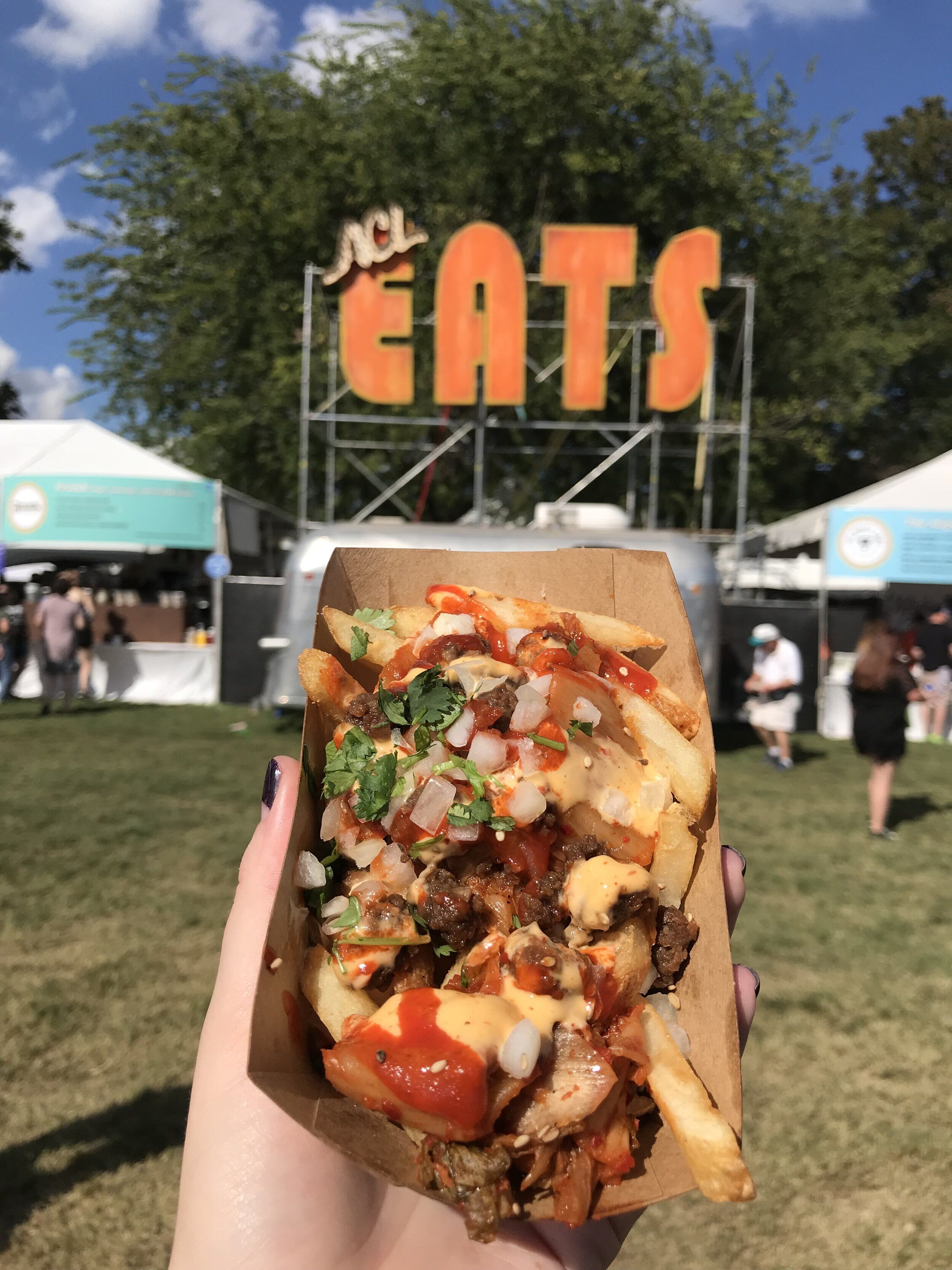 Loaded french fries at Coachella themed festival