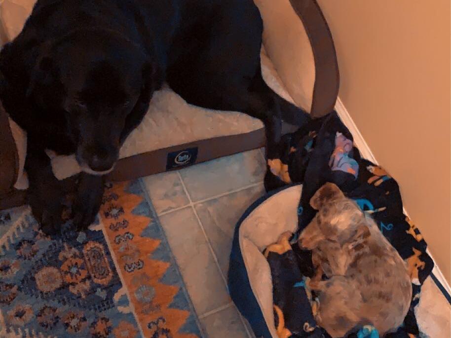 Moved in together, making Molly and Cole best of friends. 