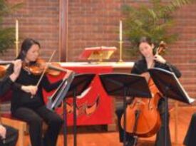 Haase String Quartet - String Quartet - Fairfax, VA - Hero Gallery 4