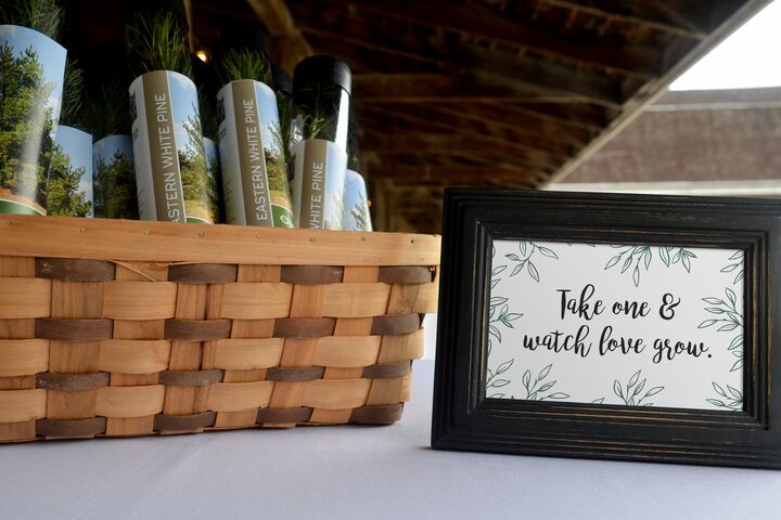 Arbor Day Foundation | Favors & Gifts - The Knot