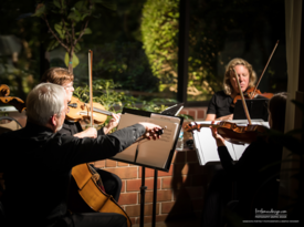 Saint Paul String Quartet - String Quartet - Saint Paul, MN - Hero Gallery 3