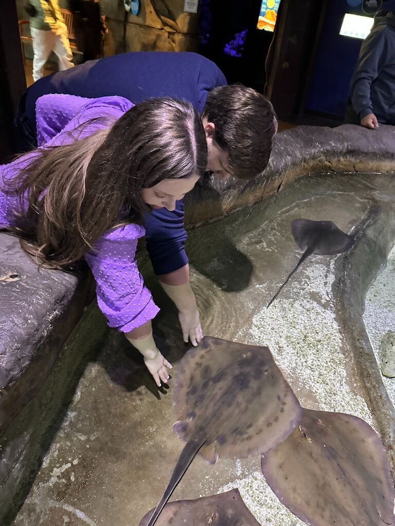They closed down the aquarium.