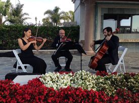 Bravo String Quartet / Bravo Music - String Quartet - Los Angeles, CA - Hero Gallery 4