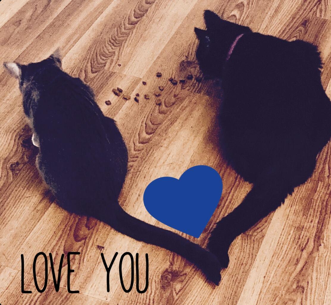 Echo and Whisper
Pittsburgh, PA