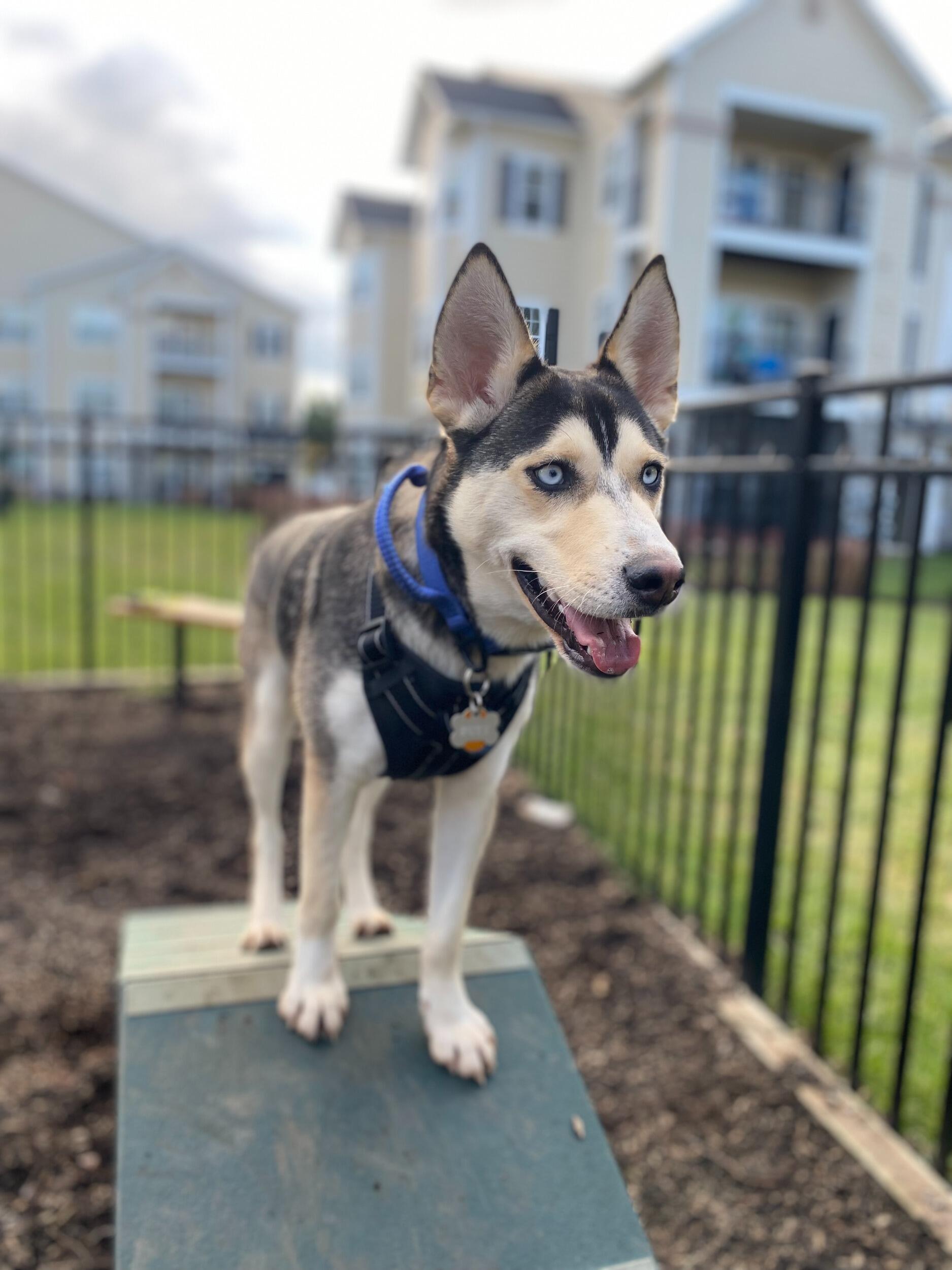 Welcome to the family, Buzz! 