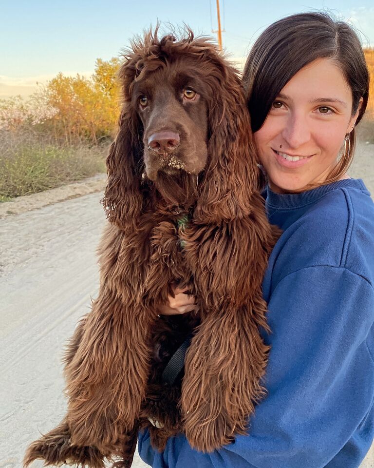 After getting a dog, we made him a centerpiece of our lives and, frankly, our entire personalities.