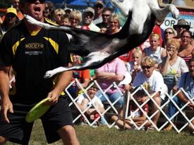 K9 Kings Flying Dog Show - Animal For A Party - Bend, OR - Hero Gallery 2