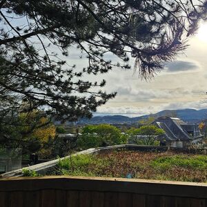 Gallery Photo 158