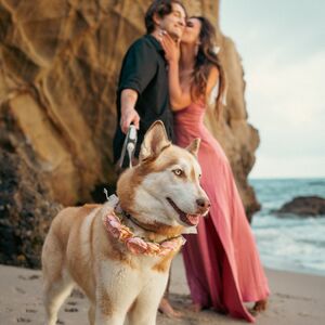 Gallery Photo 22
