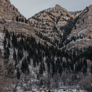 Gallery Photo 18