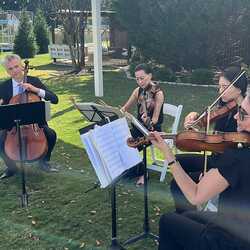 Lark Chamber Music, profile image