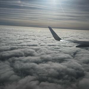 Gallery Photo 20