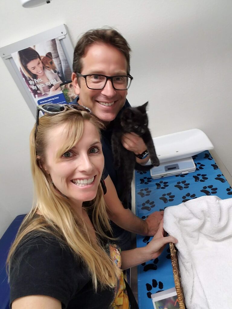 Kelly finds a homeless kitten in a laundry basket in the costume room of the Horton Grand and convinces David to give him a home "just for the night." David falls in love and suddenly they are proud cat parents to baby Dash.
